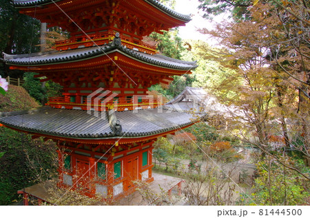 岩船寺三重塔（京都府木津川市） 81444500