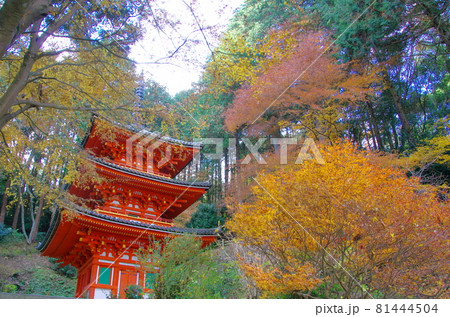 岩船寺三重塔(京都府木津川市) 岩船寺三重塔(京都府木津川市) 81444504