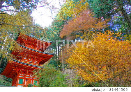岩船寺三重塔(京都府木津川市) 岩船寺三重塔(京都府木津川市) 81444506