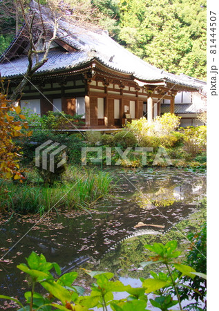 岩船寺本堂と阿字池(京都府木津川市) 岩船寺本堂と阿字池(京都府木津川市) 81444507