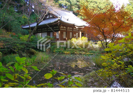 岩船寺本堂と阿字池（京都府木津川市） 81444515