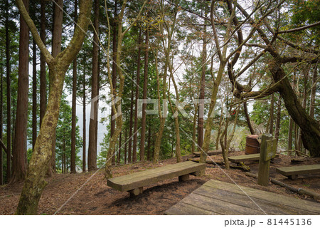 ヤビツ峠から大山登山の尾根道 ヤビツ峠から大山登山の尾根道 81445136
