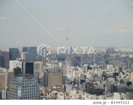 東京タワー 東京ﾀﾜｰ トウキョウタワー 81445522