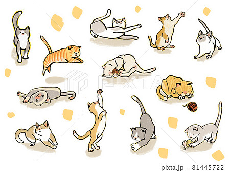 手描きの12種類の猫さんセット　 81445722