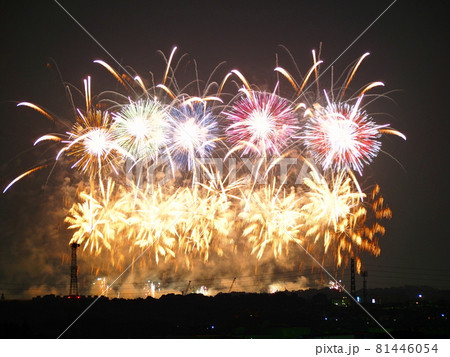 画面いっぱいの打ち上げ花火 81446054
