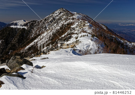 冬の南アルプス・鳳凰三山・薬師岳稜線から見る観音岳 81446252