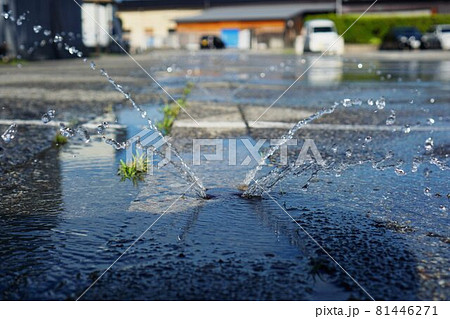 冬前の消雪パイプ 81446271