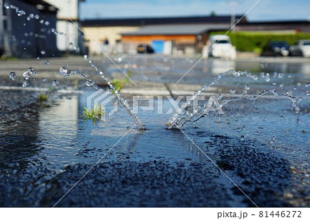 冬前の消雪パイプ 81446272