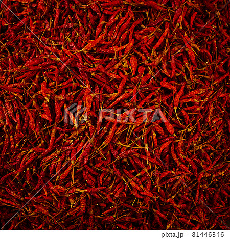 Dried red hot chilli texture background 81446346