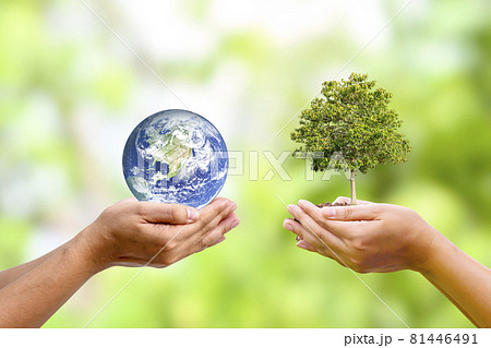 tree growing in human hand with planet in human hand world earth day and environmental conservation concept Elements of this image are decorated by NASA. tree growing in human hand with planet in human hand world earth day and environmental conservation concept Elements of this image are decorated by NASA. 81446491