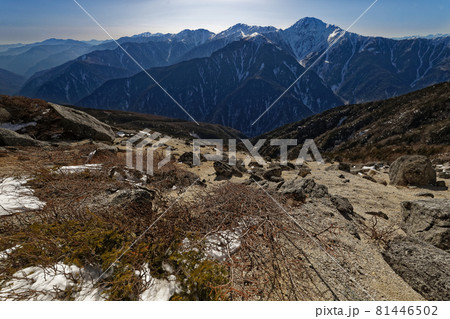 鳳凰三山・観音岳稜線から見る午後の白峰三山 81446502