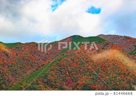 秋の奥大井　色彩豊かな山～静岡県・川根本町 81446668