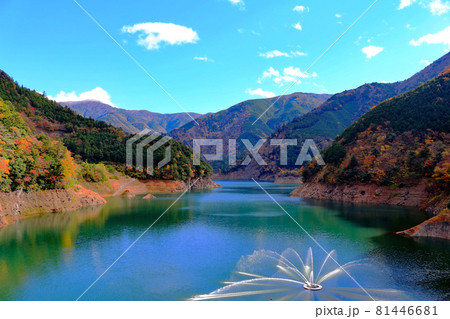 秋の奥大井　色彩豊かな山々　長島ダム　接岨湖の噴水～静岡県・川根本町 81446681