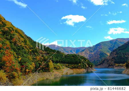 秋の奥大井　色彩豊かな山々　長島ダム　接岨湖～静岡県・川根本町 81446682
