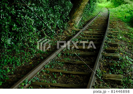 森の中の廃線 81446898