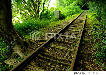 森の中の廃線 81446902