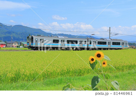 夏の大糸線　田園を行く普通列車 81446961