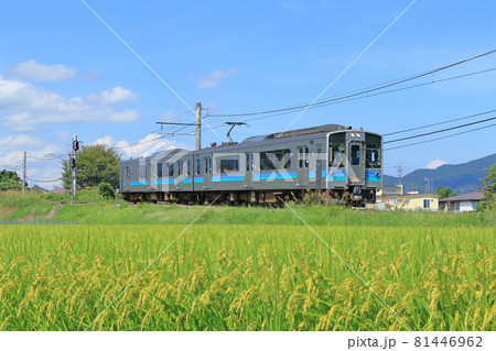 夏の大糸線 田園を行く普通列車 夏の大糸線 田園を行く普通列車 81446962