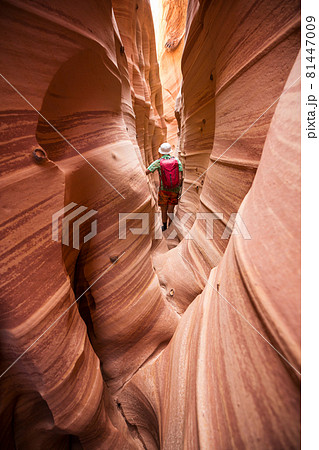 Slot canyon Slot canyon 81447009