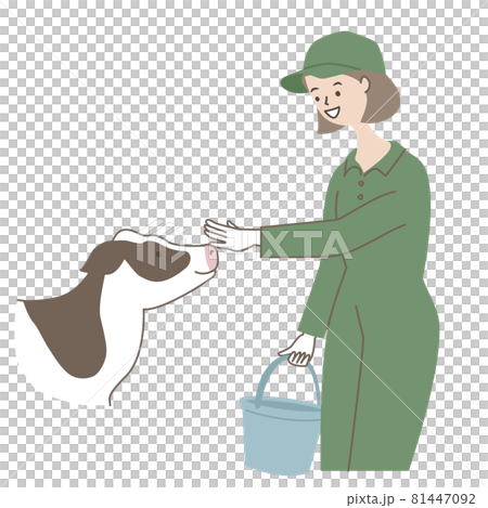 Woman raising a cow 81447092