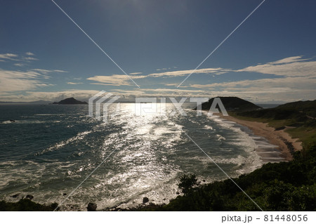 伊良湖岬の午後 伊良湖岬の午後 81448056