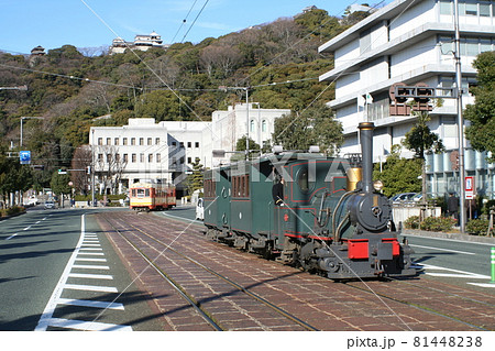 坊っちゃん列車と松山城　愛媛県　松山市 81448238