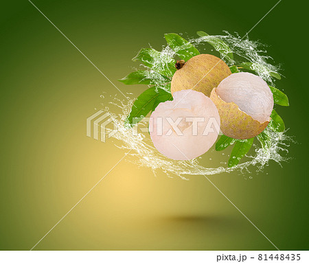 Water splash on longan with leaf isolated on green background Water splash on longan with leaf isolated on green background 81448435