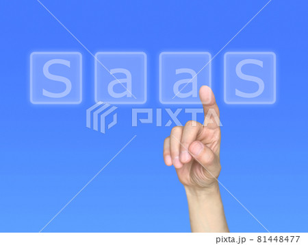 SaaSの文字をタッチする右手 SaaSの文字をタッチする右手 81448477