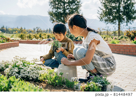 園芸・ガーデニング・スローライフ(姉弟) 園芸・ガーデニング・スローライフ(姉弟) 81448497