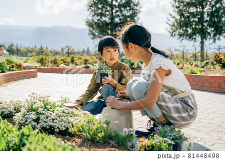 園芸・ガーデニング・スローライフ(姉弟) 園芸・ガーデニング・スローライフ(姉弟) 81448498