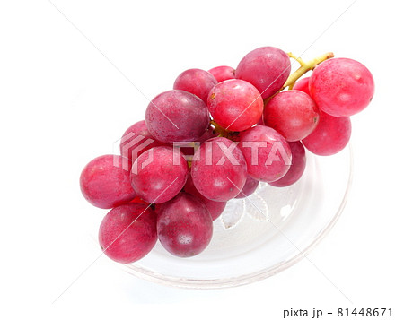 ぶどう　ブドウ　葡萄 81448671