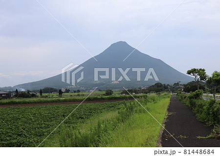 指宿市の薩摩富士といわれる名山開聞岳が夕暮れに薄く染まり山里に豊かな農村地帯が広がる 指宿市の薩摩富士といわれる名山開聞岳が夕暮れに薄く染まり山里に豊かな農村地帯が広がる 81448684
