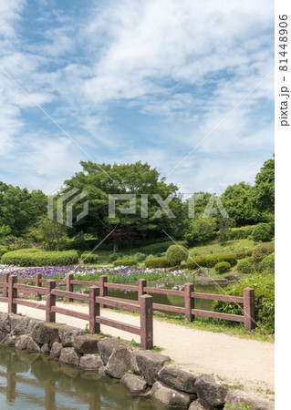 水無月園 水無月園 81448906