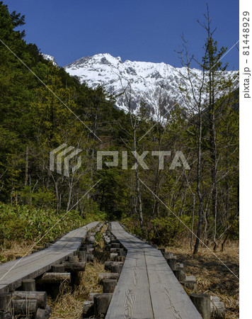 長野県　上高地　 81448929