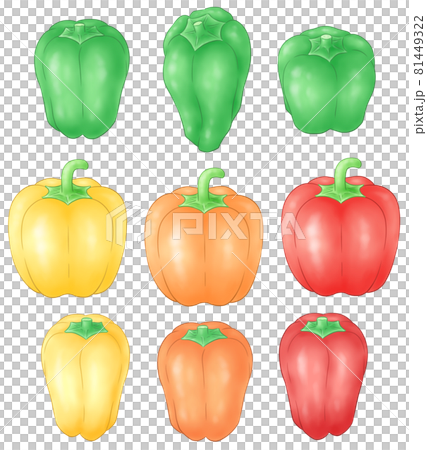 ピーマンとカラーピーマンとパプリカのイラスト素材