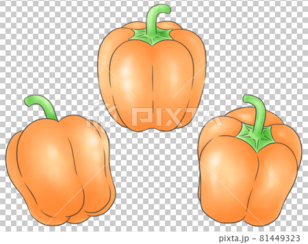 橙色辣椒粉（1條線色） 81449323