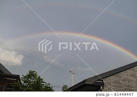 雨上がりの晴れた空にかかる虹 雨上がりの晴れた空にかかる虹 81449447