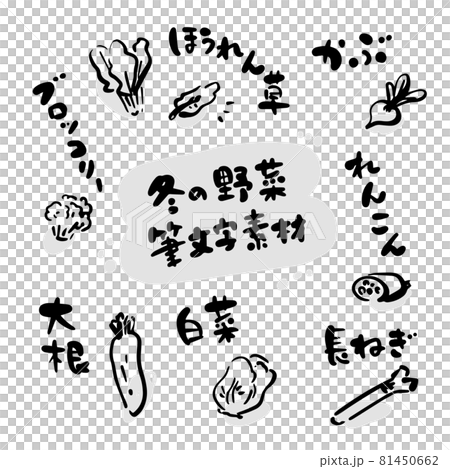 冬の野菜 筆文字セット(手書き・イラスト) 冬の野菜 筆文字セット(手書き・イラスト) 81450662