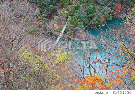 秋の奥大井 寸又峡~静岡県・川根本町 秋の奥大井 寸又峡~静岡県・川根本町 81451550