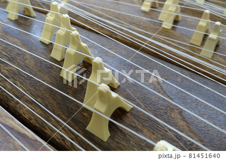 たくさんの　箏　琴　 81451640