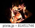 焚火 81451746