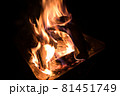 焚火 81451749