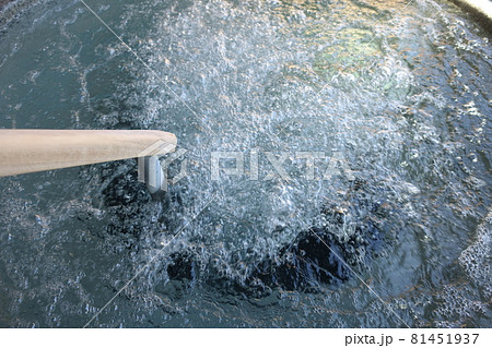 お風呂でリラックス 81451937