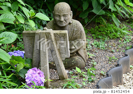 浄慶寺のアジサイ と五百羅漢 浄慶寺のアジサイ と五百羅漢 81452454