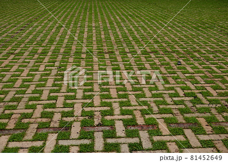 滑床渓谷入口の駐車場 滑床渓谷入口の駐車場 81452649