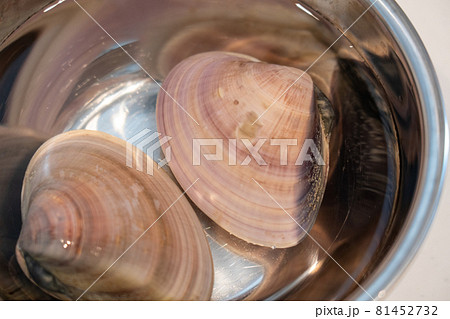 ハマグリ 81452732