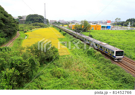 JR常磐線と龍ヶ崎市街の秋景色 81452766