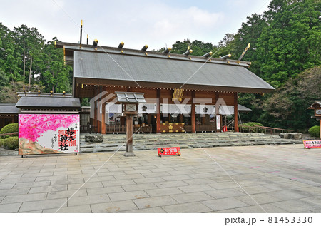 野田市内散歩:櫻木神社 拝殿 野田市内散歩:櫻木神社 拝殿 81453330