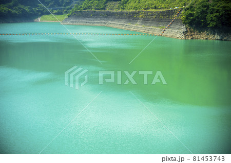 緑美しい神奈川県宮ヶ瀬ダムの水面 81453743