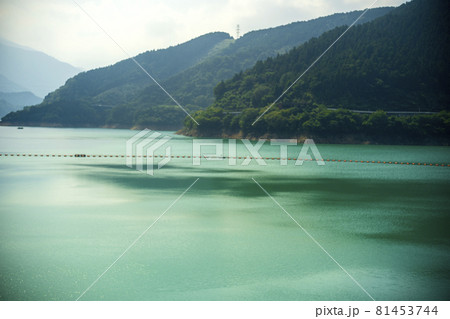 緑美しい神奈川県宮ヶ瀬ダムの水面 81453744